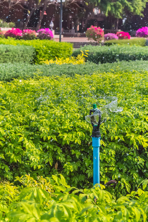 Detail of a working lawn sprinkler head watering the grass.の写真素材