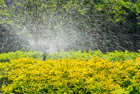 Detail of a working lawn sprinkler head watering the grass.の写真素材