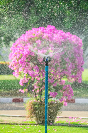 Detail of a working lawn sprinkler head watering the grass.の写真素材