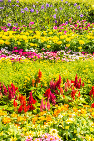 Landscaped flower garden with lots of colorful blooms.の写真素材