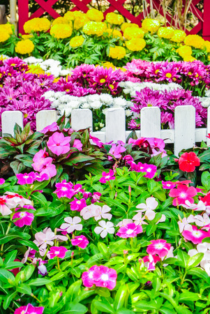 White picket fence surrounded by flowers in a front yard.の写真素材