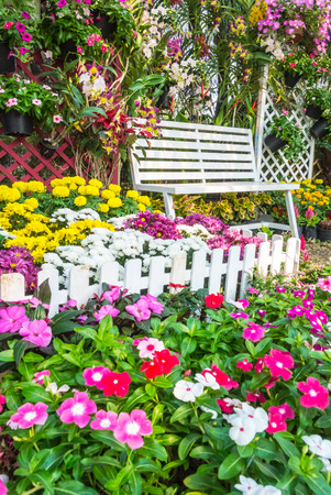 White wooden chair in the flowers garden.の写真素材