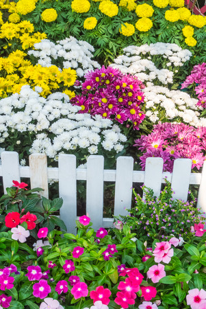 White picket fence surrounded by flowers in a front yard.の写真素材