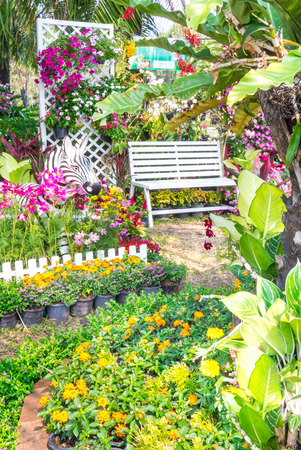 White wooden chair in the flowers garden.の写真素材