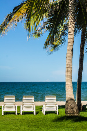 Relaxing Tanning beds under palm tree on remote beach.の写真素材