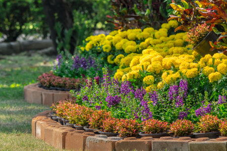 Landscaped flower garden with lots of colorful blooms.の写真素材