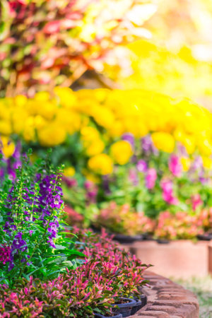 Landscaped flower garden with lots of colorful blooms.の写真素材