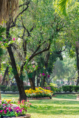 Landscaped flower garden with lots of colorful blooms.の写真素材