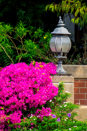 Garden light in the home garden on summer.の写真素材
