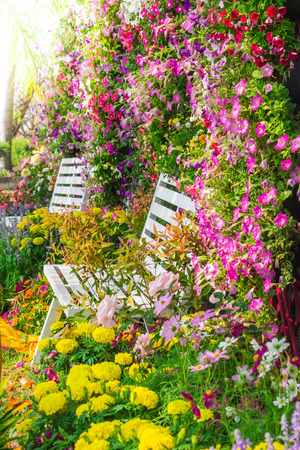 White wooden chair in the flowers garden.の写真素材