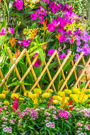 Picket fence surrounded by flowers in a front yard on summer.の写真素材