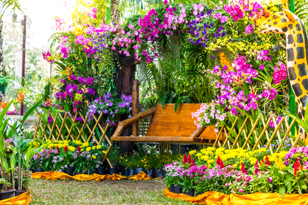 Wood chair in the flowers garden.の写真素材