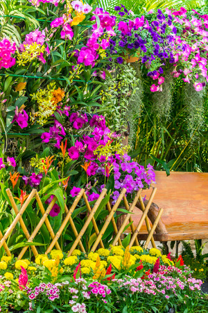 Wood chair in the flowers garden.の写真素材