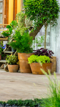 Relaxing area with flower pot  near window in cozy home.の写真素材
