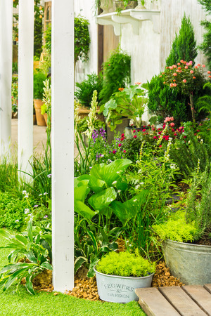 Relaxing garden with flower pot  in cozy home on summer.の写真素材