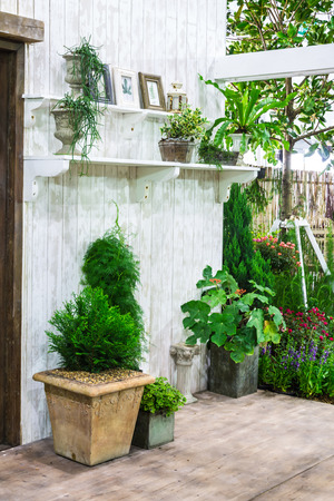 Relaxing area with table set and flower pot  near window in cozy home.の写真素材