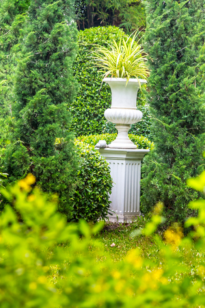 Gothic flower pot in cozy garden on summer.の写真素材