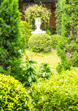 Gothic flower pot in cozy garden on summer.の写真素材