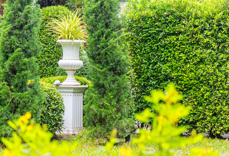 Gothic flower pot in cozy garden on summer.の写真素材