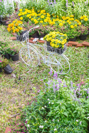 Topview vintage bike planter in home flowers garden on summer.の写真素材