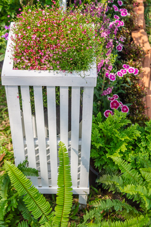 White picket fence surrounded by flowers in  front garden on summer.の写真素材