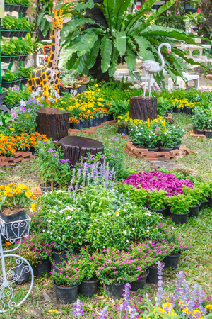 Topview vintage bike planter in home flowers garden on summer.の写真素材