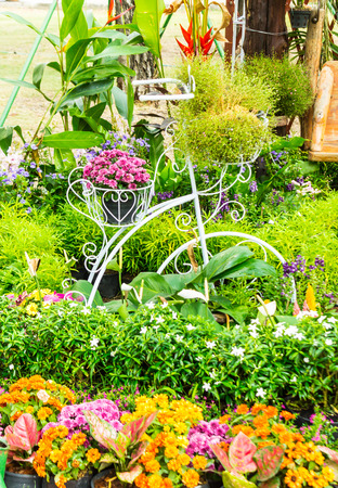 Topview vintage bike planter in home flowers garden on summer.の写真素材