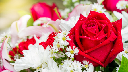 Red rose and white flowers in bouquet on Valentine day.の写真素材