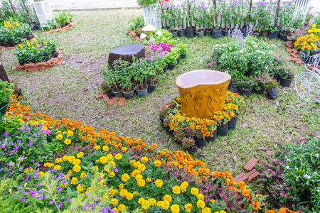 Home flowers garden on summer.の写真素材