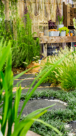 Pathway in cozy garden with table and flowerpot.の写真素材