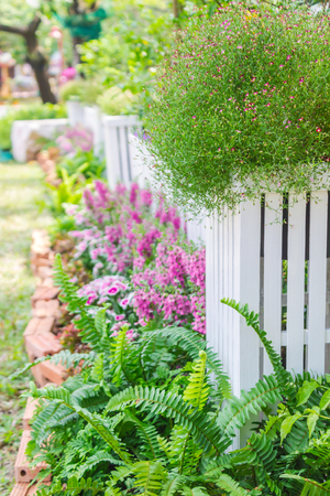 White picket fence surrounded by flowers in  front garden on summer.の写真素材