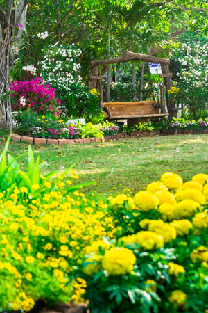 Wood chair in the flowers garden on summer.の写真素材