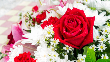 Red rose and white flowers in bouquet on Valentine day.の写真素材