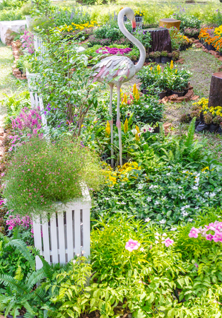 Home flowers garden on summer.の写真素材