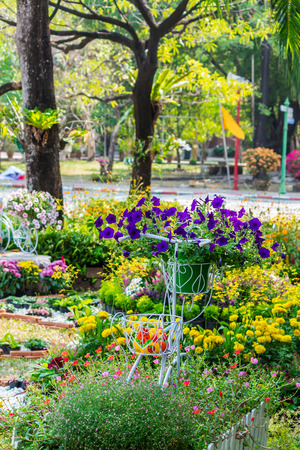 Vintage white bike and flowerpot in cozy home flower garden on summer.の写真素材