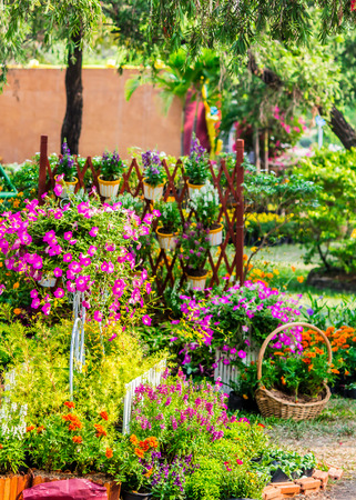 Vintage white bike and flowerpot in cozy home flower garden on summer.の写真素材
