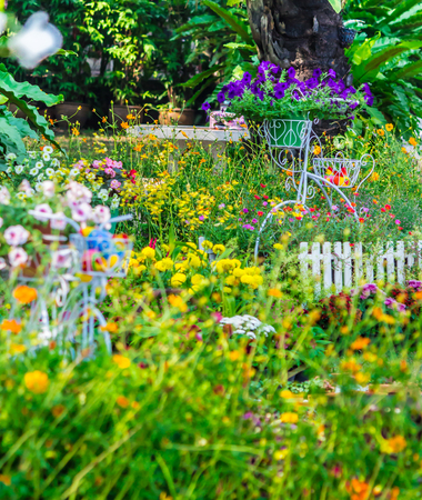 Vintage white bike and flowerpot in cozy home flower garden on summer.の写真素材