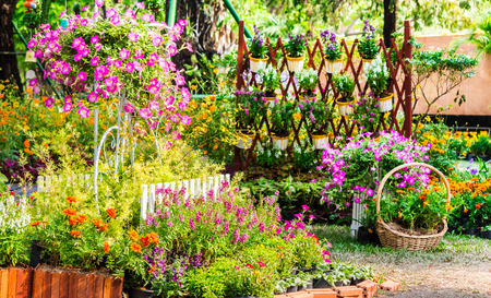Vintage white bike and flowerpot in cozy home flower garden on summer.の写真素材