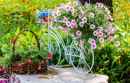 Vintage white bike and flowerpot in cozy home flower garden on summer.の写真素材