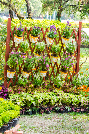 Cozy home flower garden on summer.の写真素材