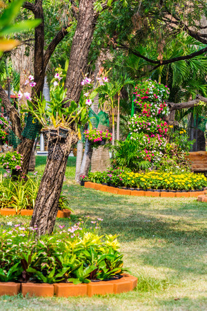 Cozy home flower garden on summer.の写真素材