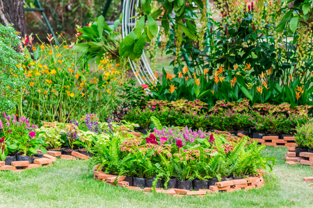 Cozy home flower garden on summer.の写真素材