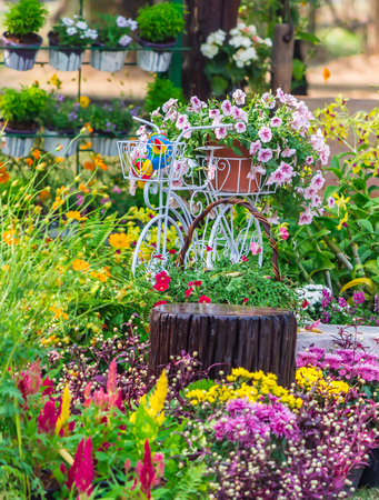Vintage white bike and flowerpot in cozy home flower garden on summer.の写真素材