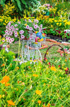 Vintage white bike and flowerpot in cozy home flower garden on summer.の写真素材