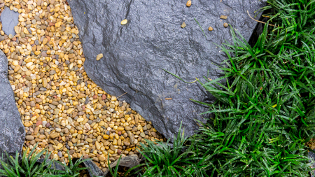 Stone walkway in cozy garden with flower and plant.の写真素材