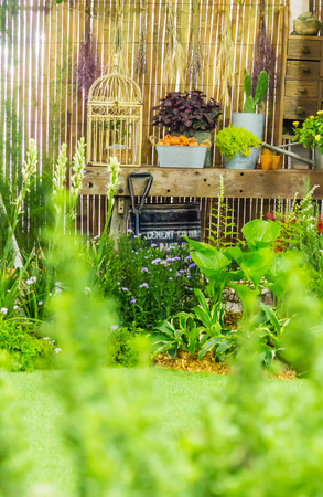 Relaxing area with garden object decoration on table in cozy garden.の写真素材