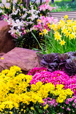 Variety of spring flowers and tulips blooming in beautiful cozy garden on summer.の写真素材