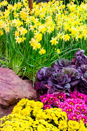 Variety of spring flowers and tulips blooming in beautiful cozy garden on summer.の写真素材
