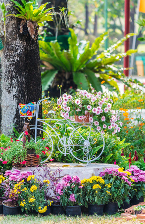 Vintage white bike and flowerpot in cozy home flower garden on summer.の写真素材