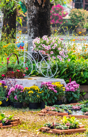 Vintage white bike and flowerpot in cozy home flower garden on summer.の写真素材